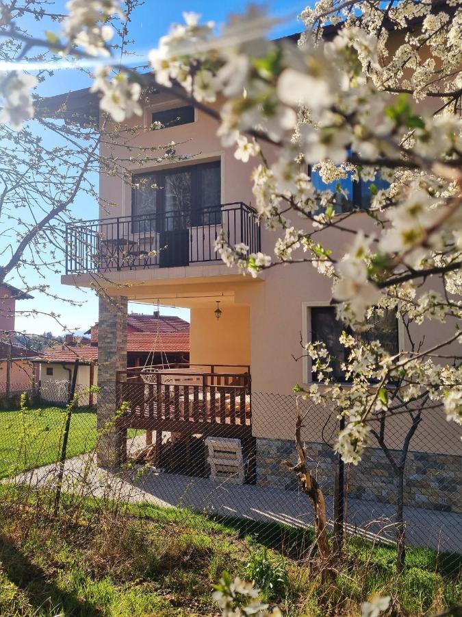 Bella Family Guest House 사파레바바냐 외부 사진